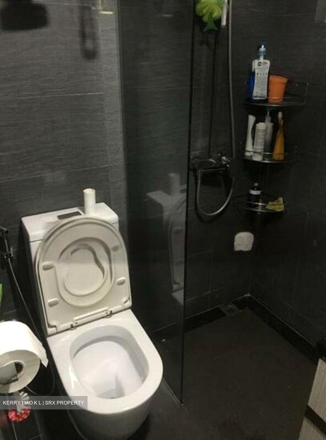 Hougang Green (D19), Apartment #475782221